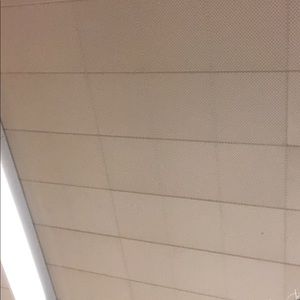 Meet your Posher, Autumn